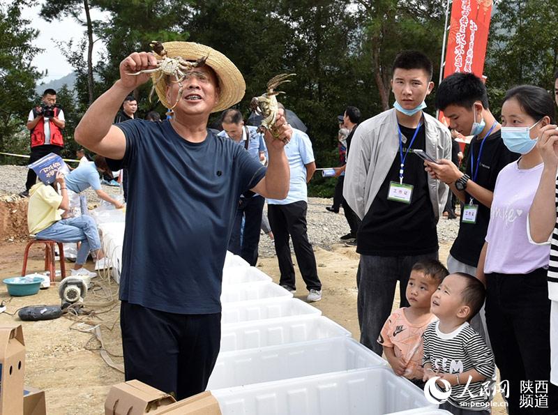 漢陰縣平梁鎮(zhèn)清河村村民胡小平推介大閘蟹。