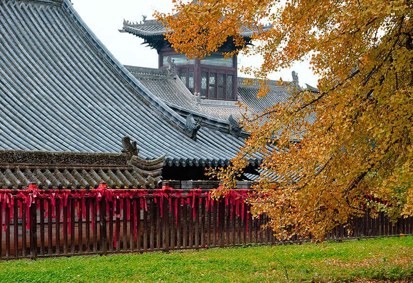 千年銀杏樹(shù)披上“金縷衣”，引來(lái)眾多游客打卡拍照。吳超攝