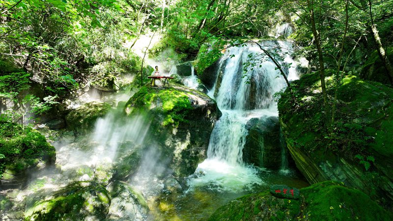 青山綠水牛背梁。牛背梁國家森林公園供圖