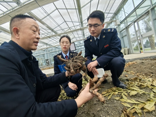 陜西嵐皋：稅費服務(wù)助力小微企業(yè)增動力