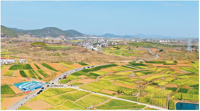 3月15日，2024最美油菜花海漢中旅游文化節（第15屆）暨全市春季主題招商周活動在漢中市洋縣啟動。圖為洋縣洋州街道龍泉觀花點。